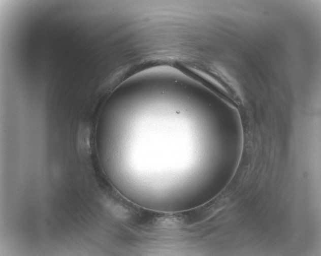 X0000068730115200605051509