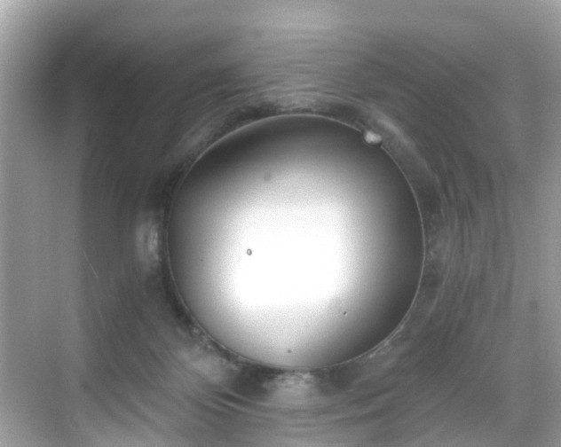 X0000068730124200605051509