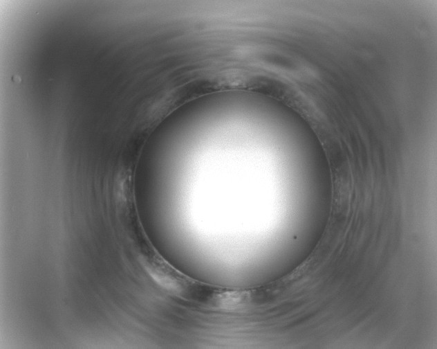 X0000068730126200605051509