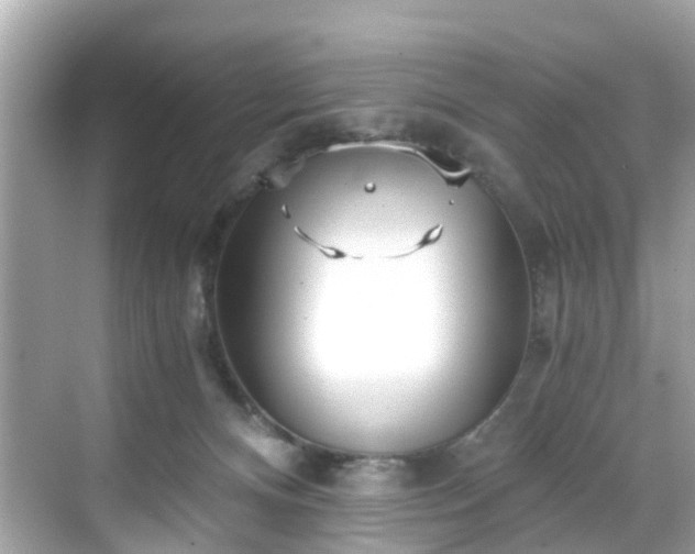 X0000068730128200605051509