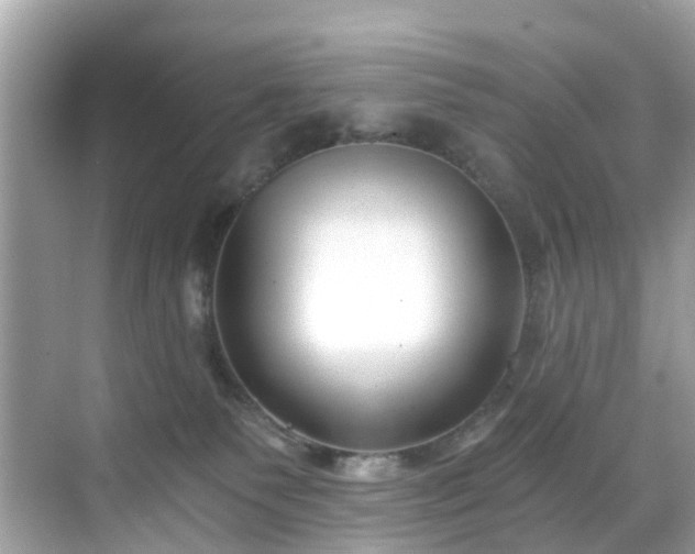 X0000068730135200605051508