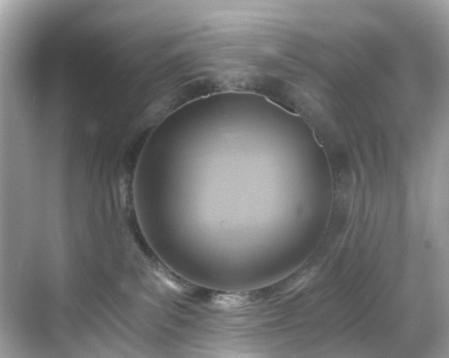 X0000068730139200605051508