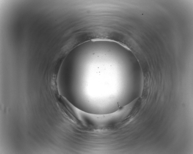 X0000068730141200605051508