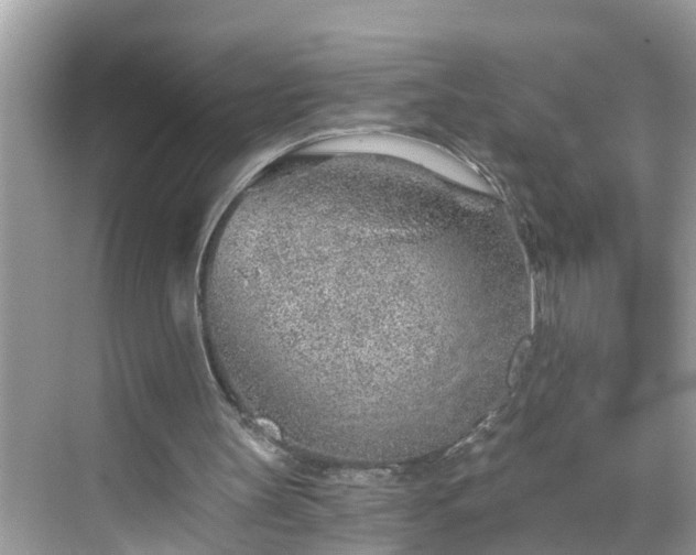 X0000068730147200605051508