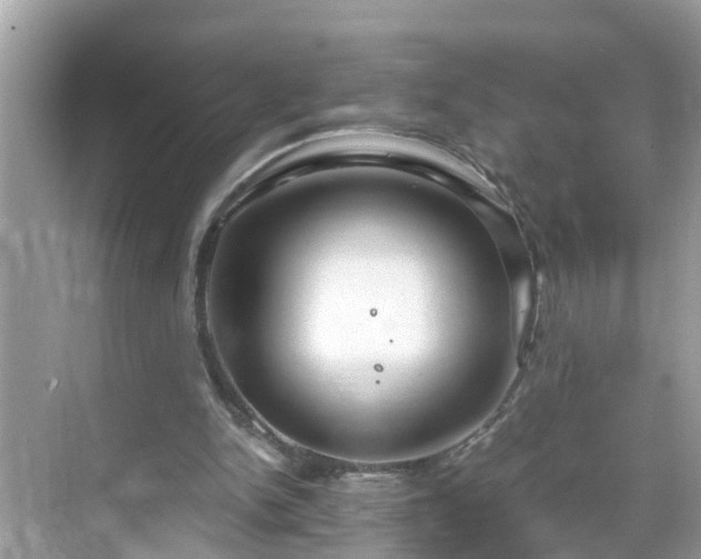 X0000068730150200605051508