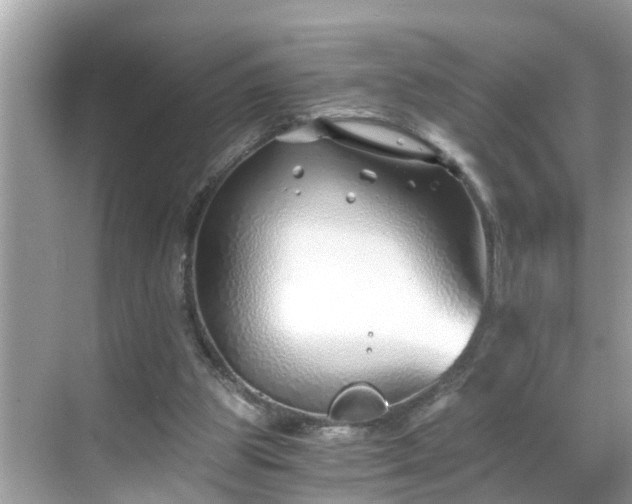 X0000068730153200605051508