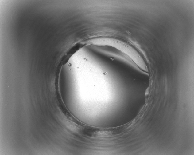 X0000068730154200605051508