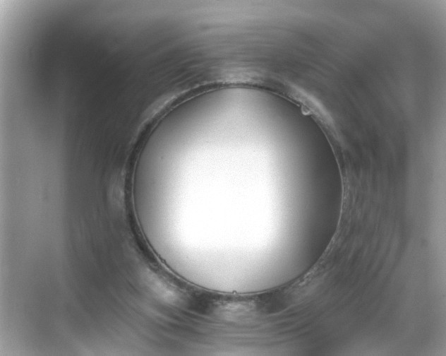 X0000068730155200605051508