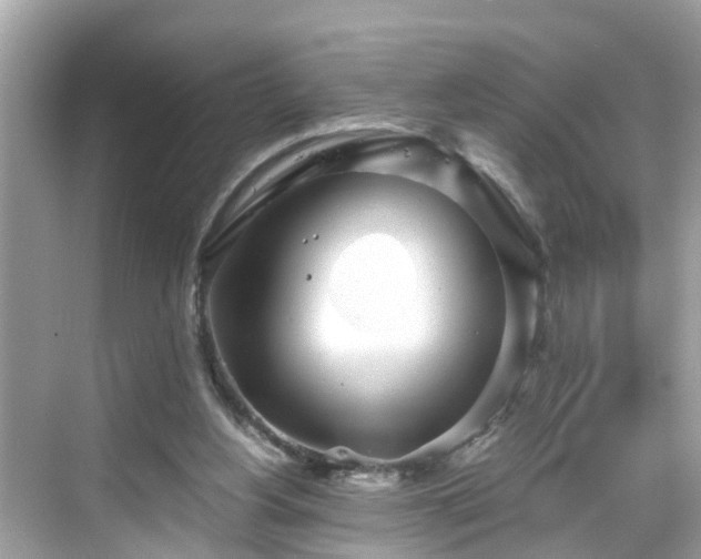 X0000068730156200605051508