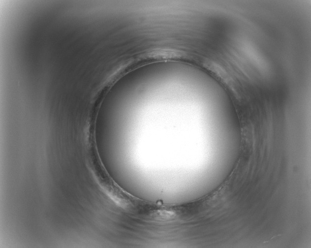 X0000068730159200605051508