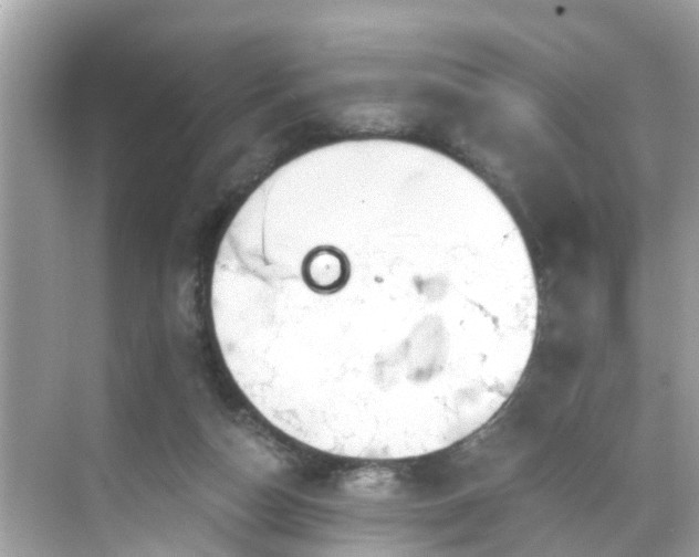 X0000068730162200605051508