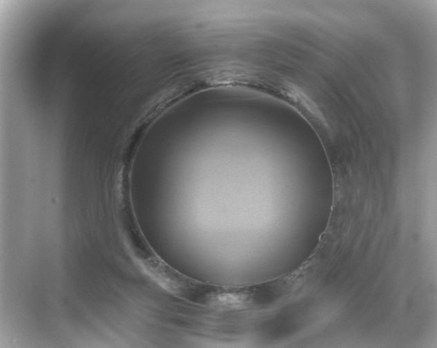 X0000068730163200605051508