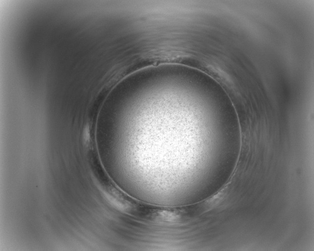 X0000068730166200605051508