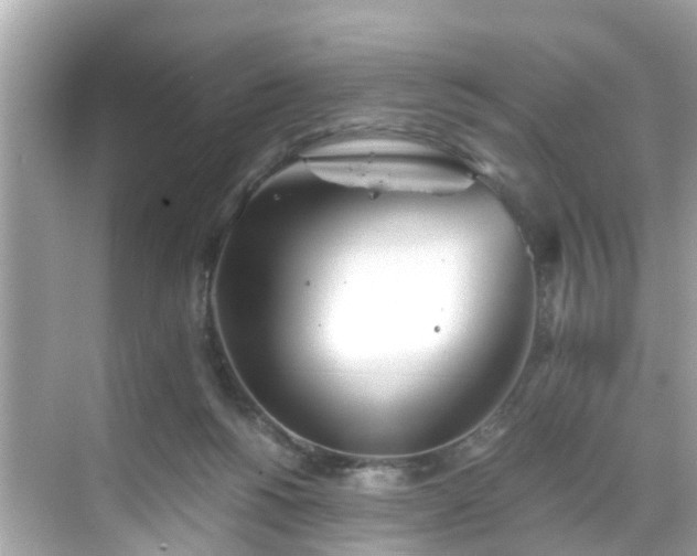 X0000068730168200605051508