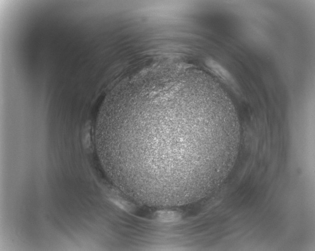 X0000068730169200605051508