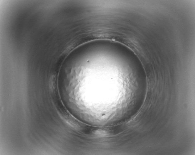 X0000068730171200605051508