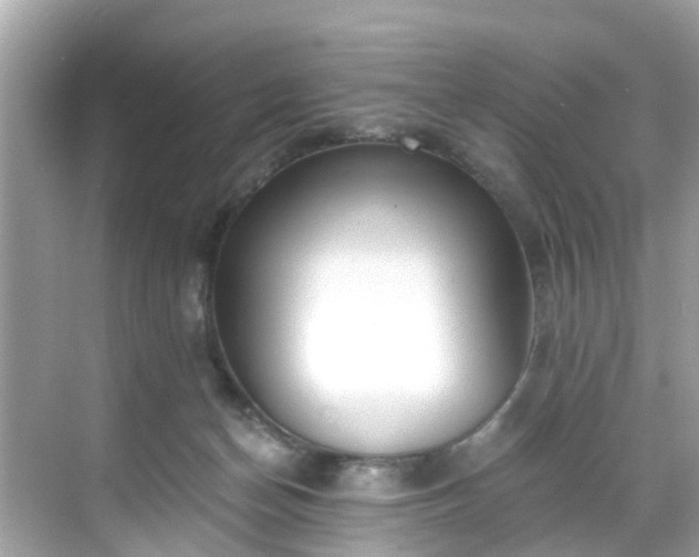 X0000068730174200605051508