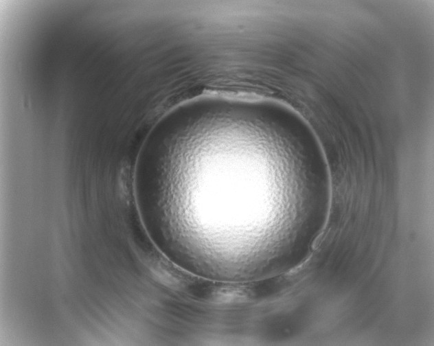 X0000068730175200605051508