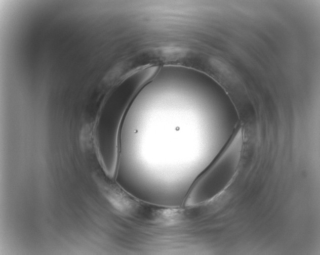 X0000068730184200605051508