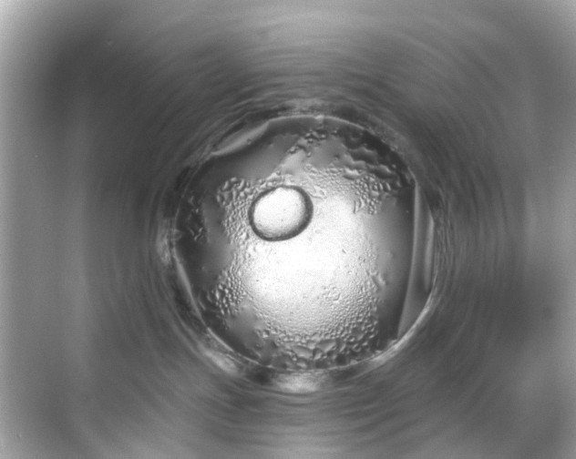 X0000068730191200605051508