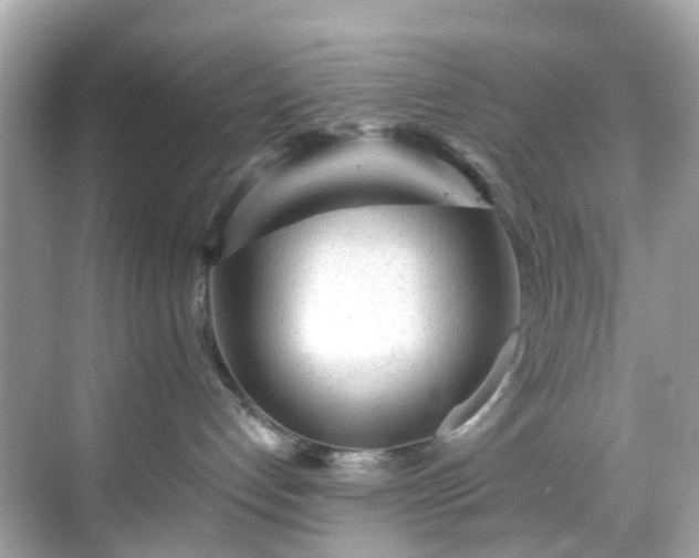 X0000068730192200605051508