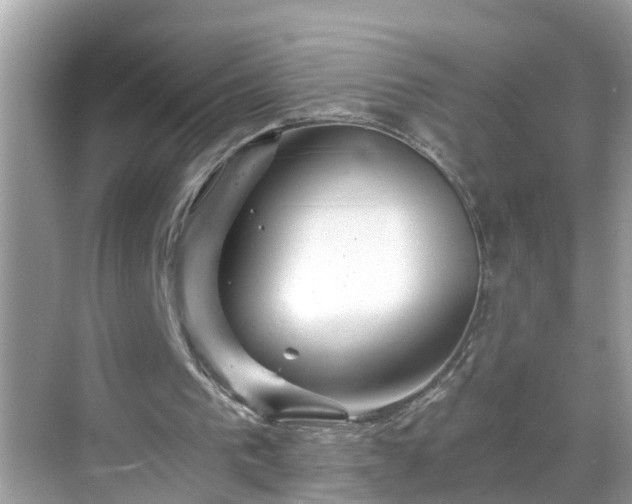 X0000068730193200605051508