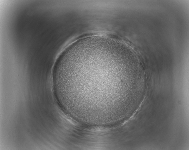 X0000068730198200605051507