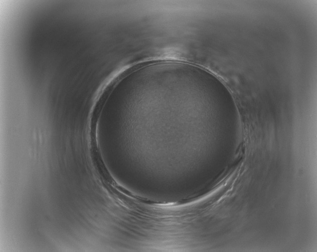 X0000068730200200605051507