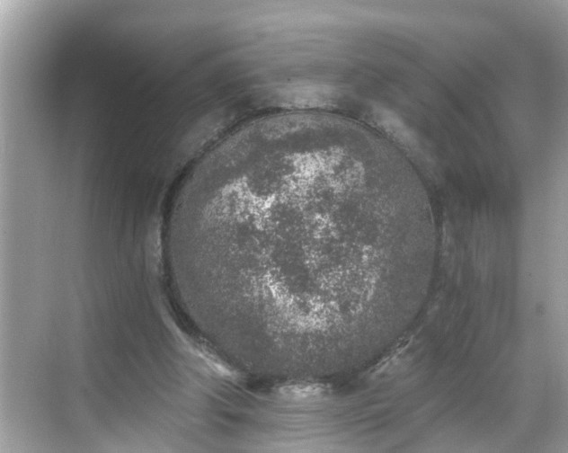 X0000068730202200605051507