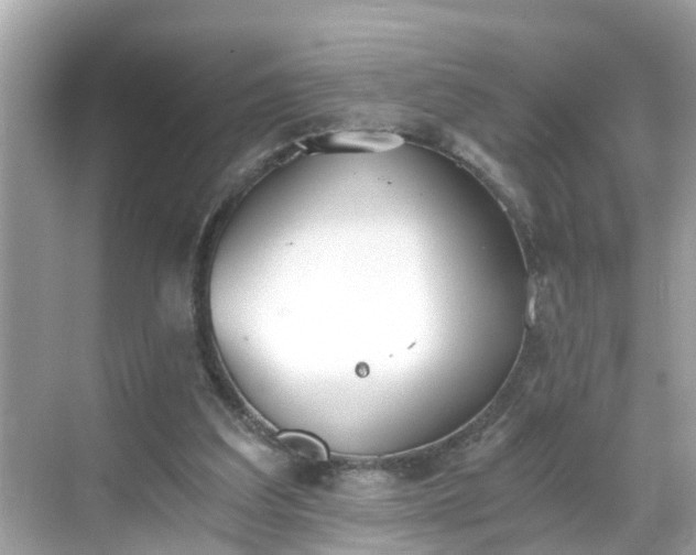 X0000068730203200605051507