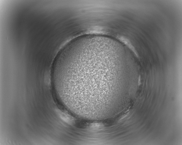 X0000068730204200605051507