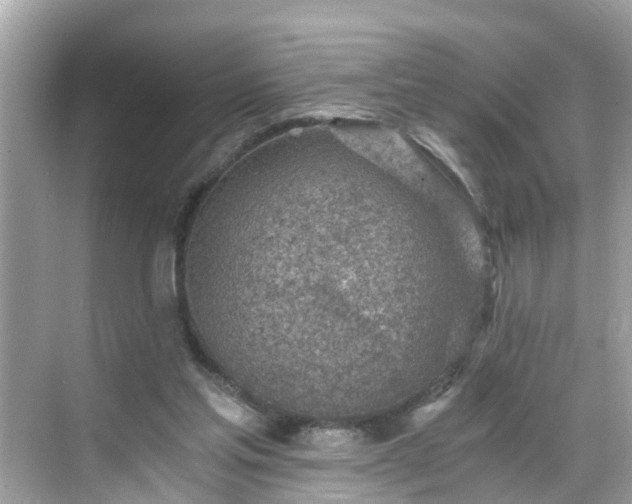 X0000068730205200605051507