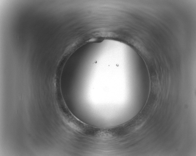 X0000068730207200605051507