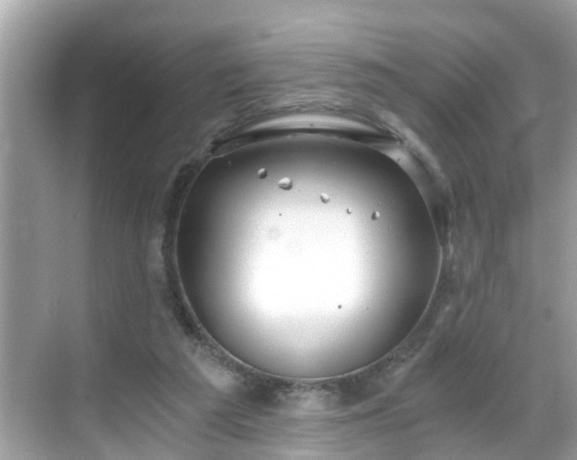 X0000068730209200605051507