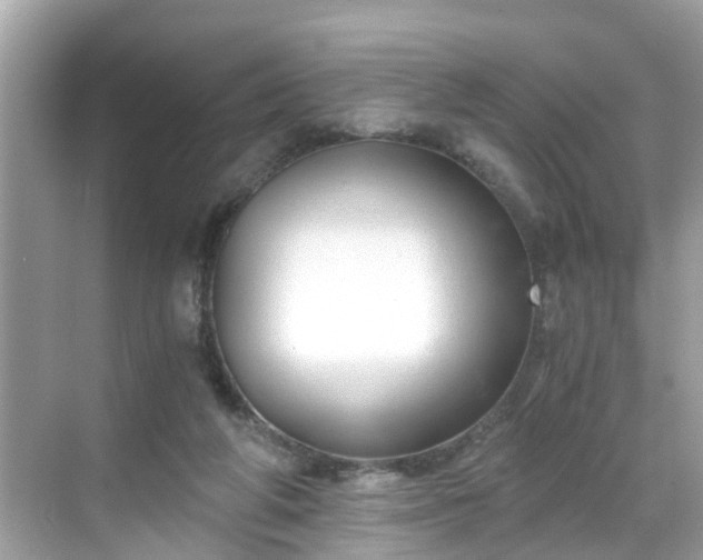 X0000068730210200605051507