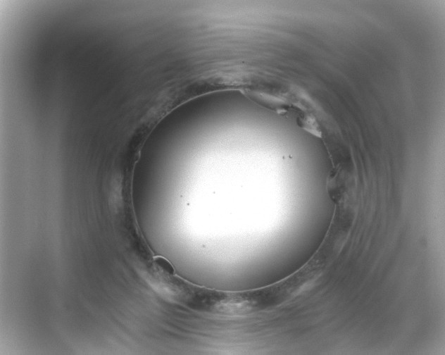 X0000068730213200605051507