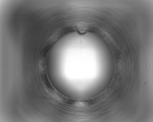 X0000068730218200605051507