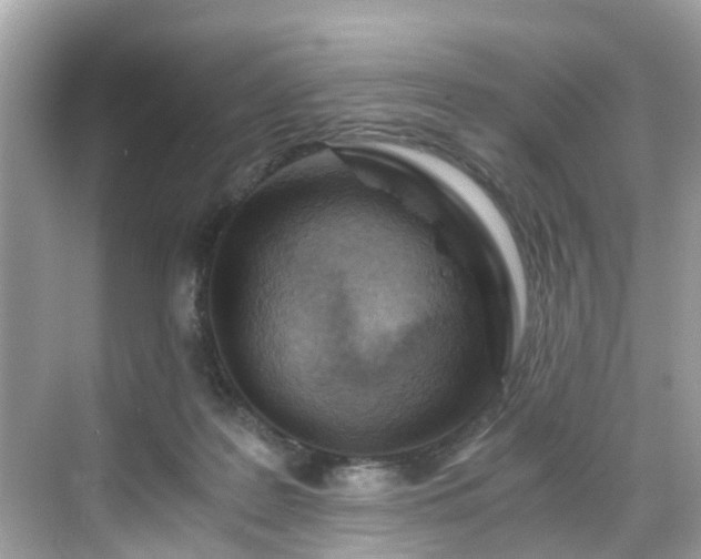 X0000068730219200605051507