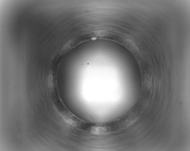 X0000068730220200605051507