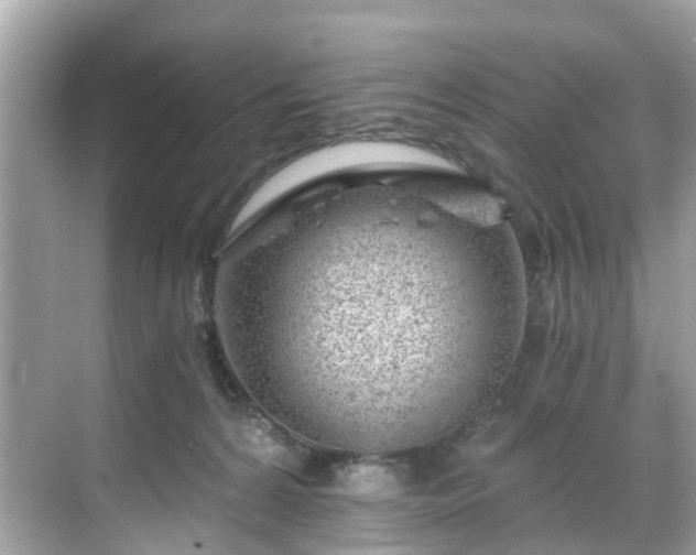 X0000068730224200605051507