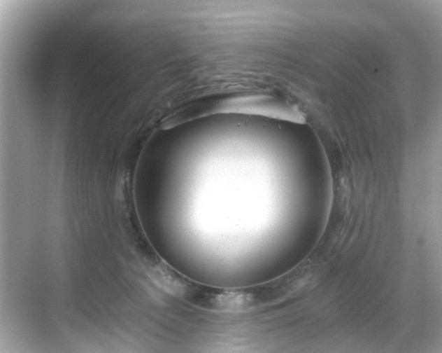 X0000068730225200605051507