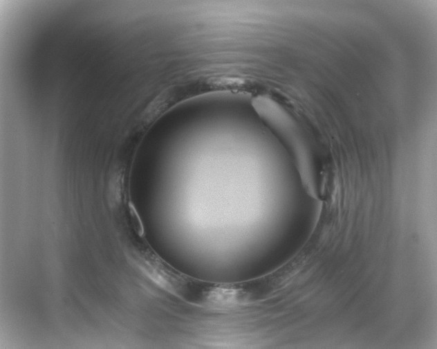 X0000068730227200605051507