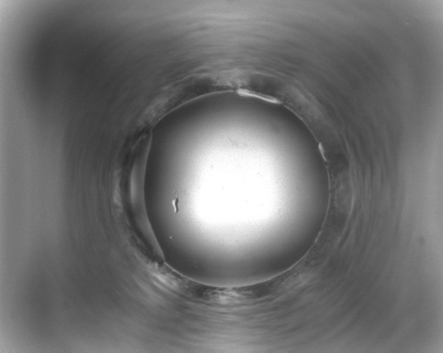 X0000068730229200605051507