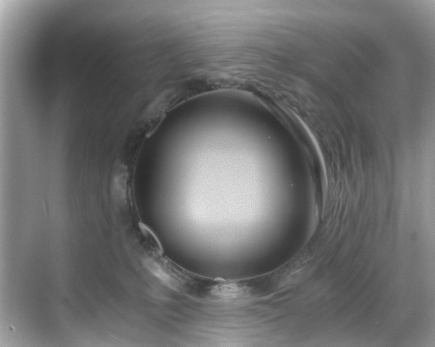 X0000068730231200605051507