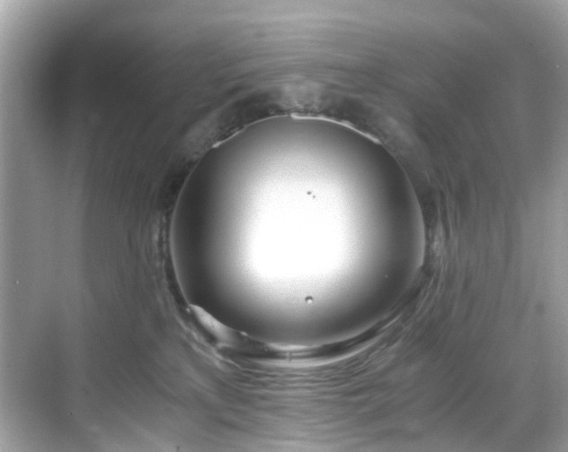 X0000068730233200605051507