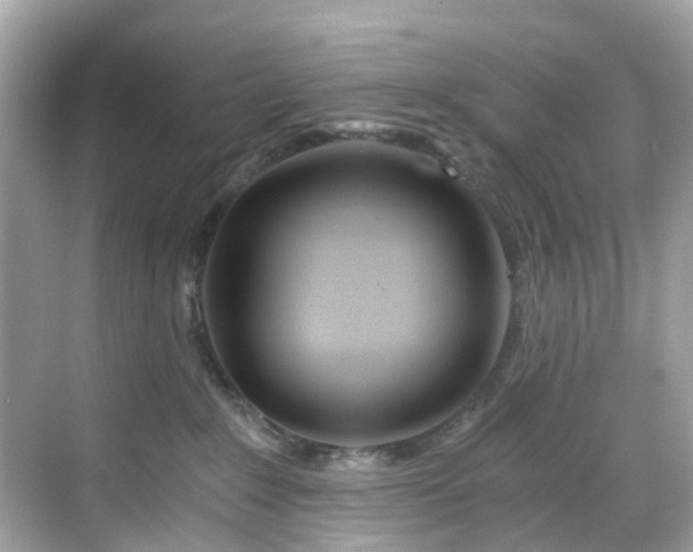 X0000068730235200605051507