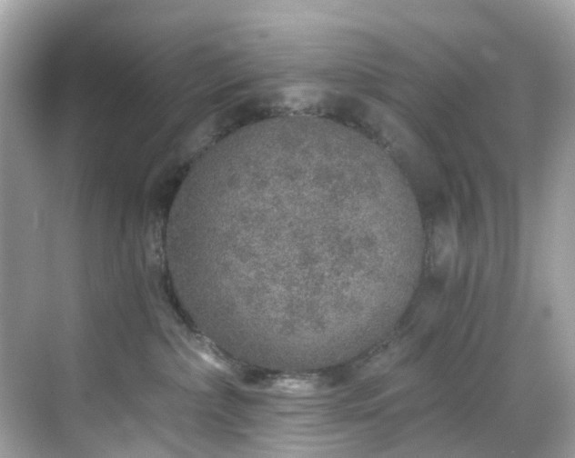 X0000068730236200605051507