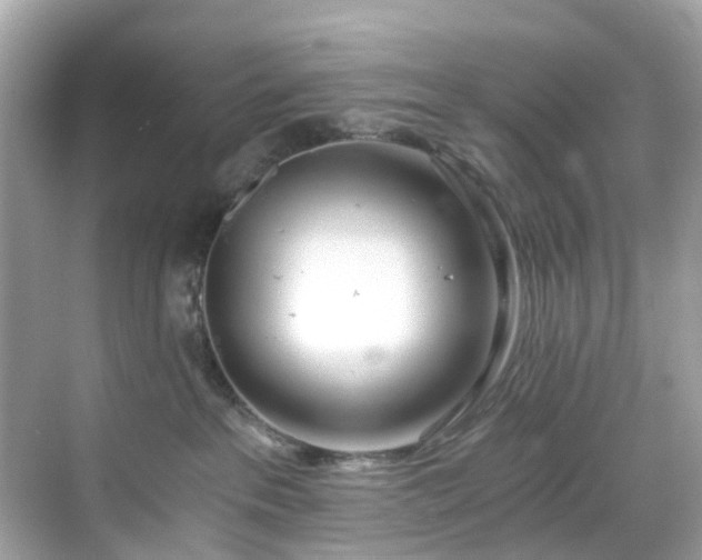 X0000068730237200605051507