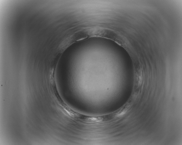 X0000068730239200605051507