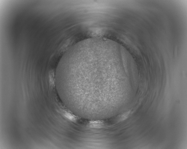 X0000068730240200605051507